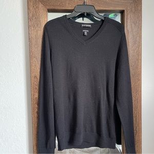 Express v-neck sweater
